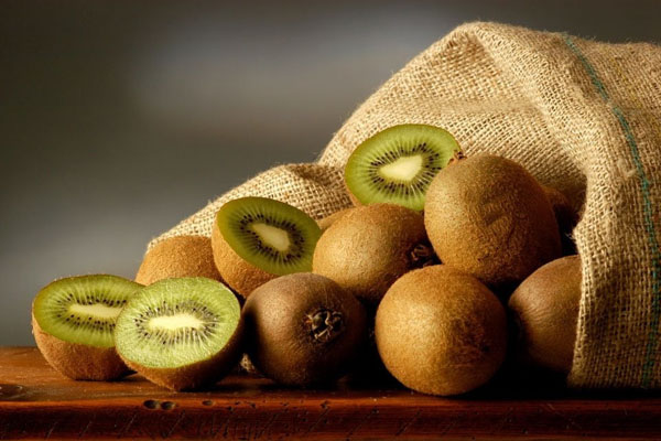 Keep Kiwifruit อุปกรณ์สำคัญที่สำคัญ - เครื่องบันทึกอุณหภูมิโซ่เย็น