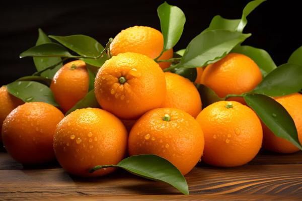 การขนส่งด้วยโซ่เย็นสีส้มและเครื่องบันทึกอุณหภูมิแบบใช้แล้วทิ้ง